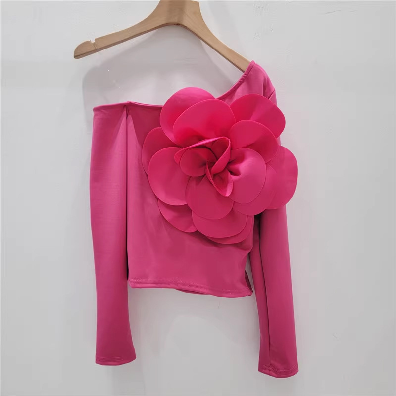 Pure Spice Girl Diagonal Neckline Single Shoulder Halter Long Sleeve Ladies Wear Western Slim T-shirt Top – Bild 8