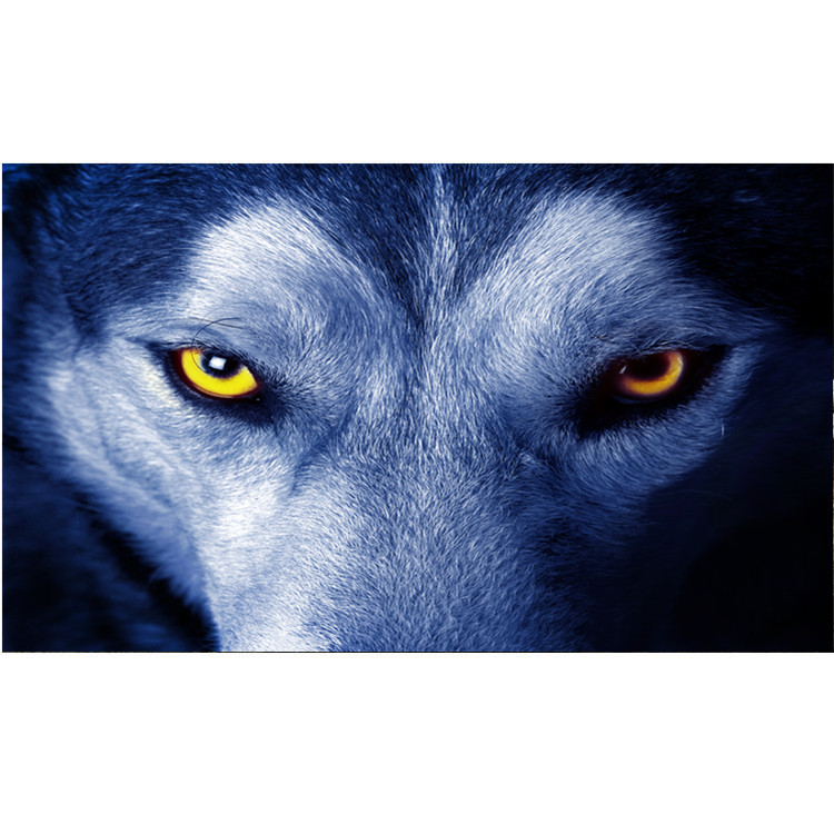 Creative Car Rear Window Glass Sticker - Image 7