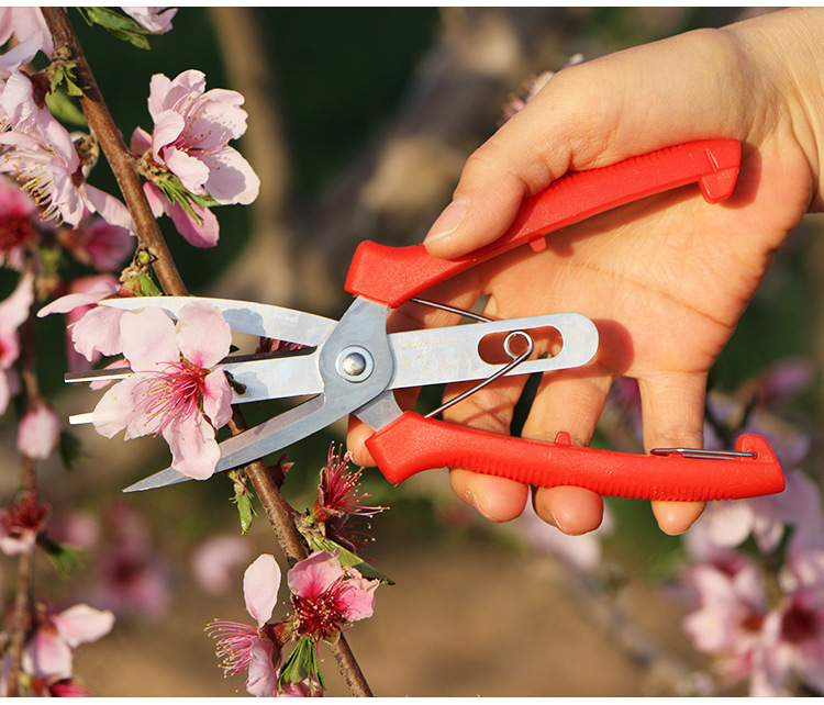 Double-Mouth Fruit And Flower Thinning Shears Agricultural Flower Thinning Shears — изображение 2