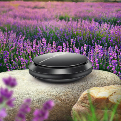 Car aromatherapy ornaments