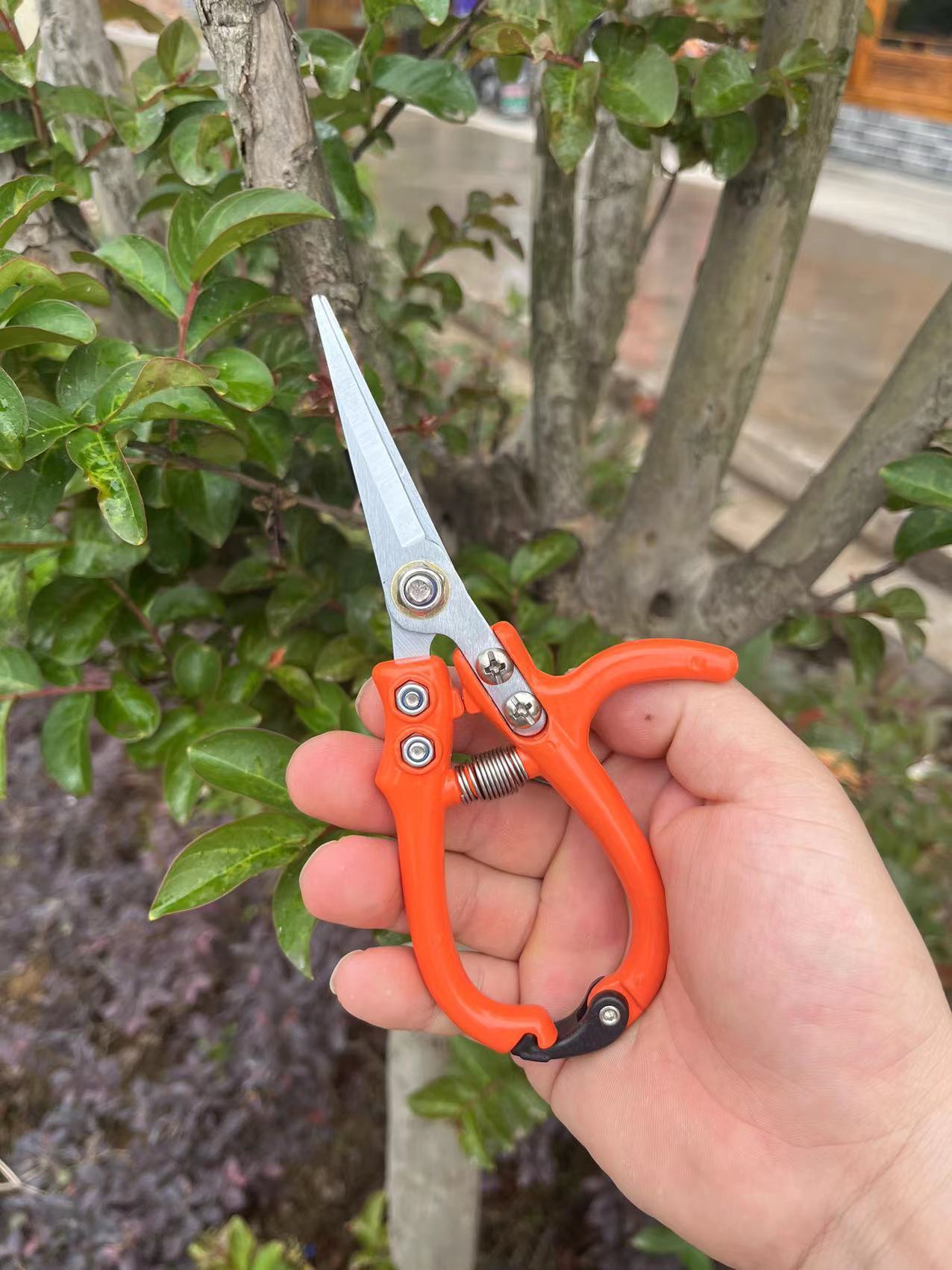 Multifunctional Garden Scissors Pruning Shears Manual With Safety Buckle Stainless Steel Spring Gardening Pruning Shear Branch Plant Cutter - Image 8