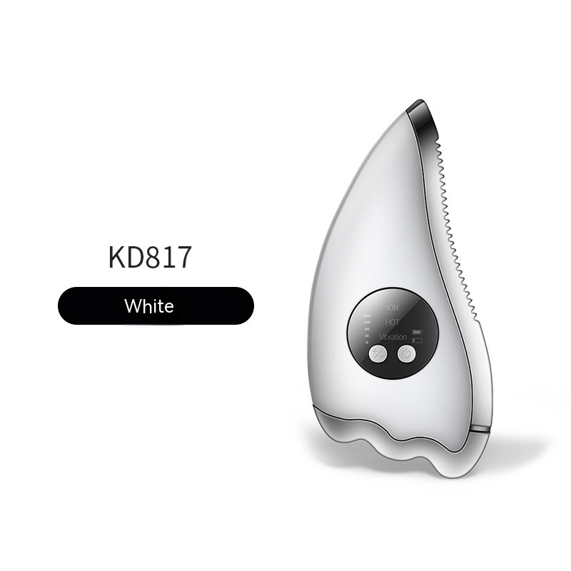 Electric Gua Sha Scraping Massager Shaving Beauty - Image 3